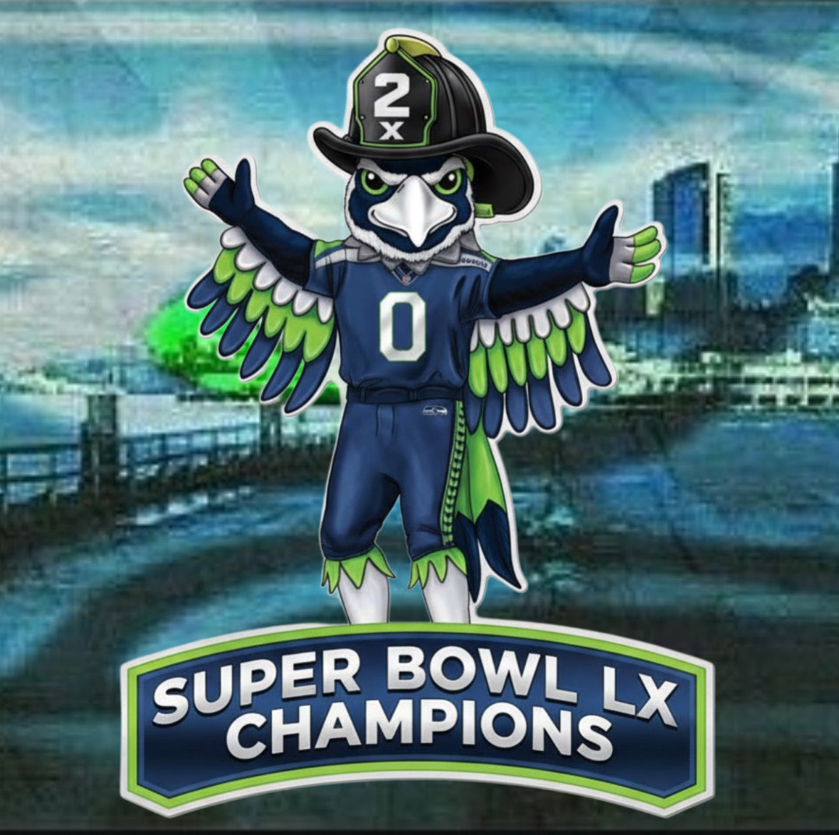 Seahawks! Super Bowl Champs