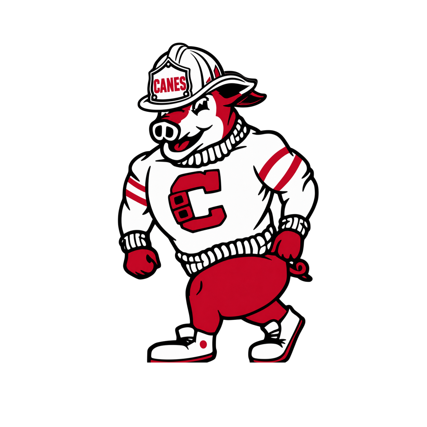 Vintage Stormy Canes