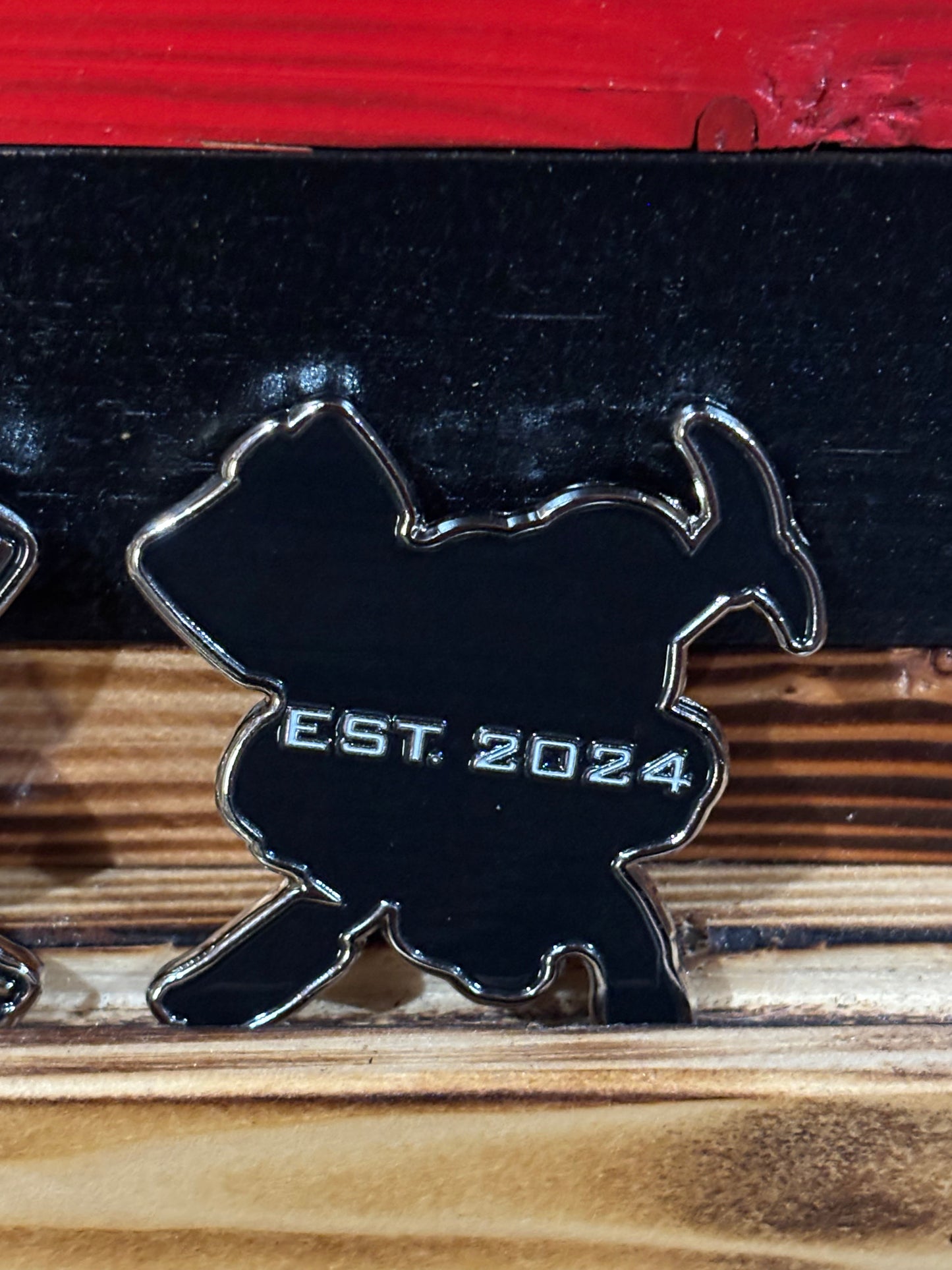 Skull Challenge Coin