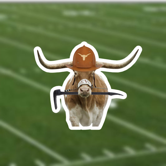 Bevo