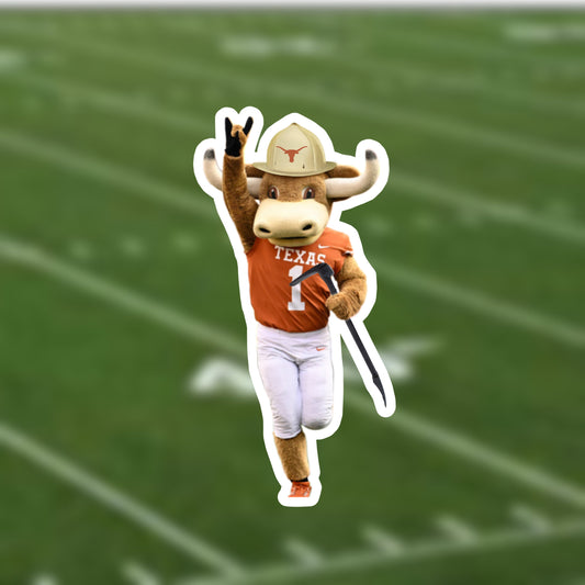 Hook’em