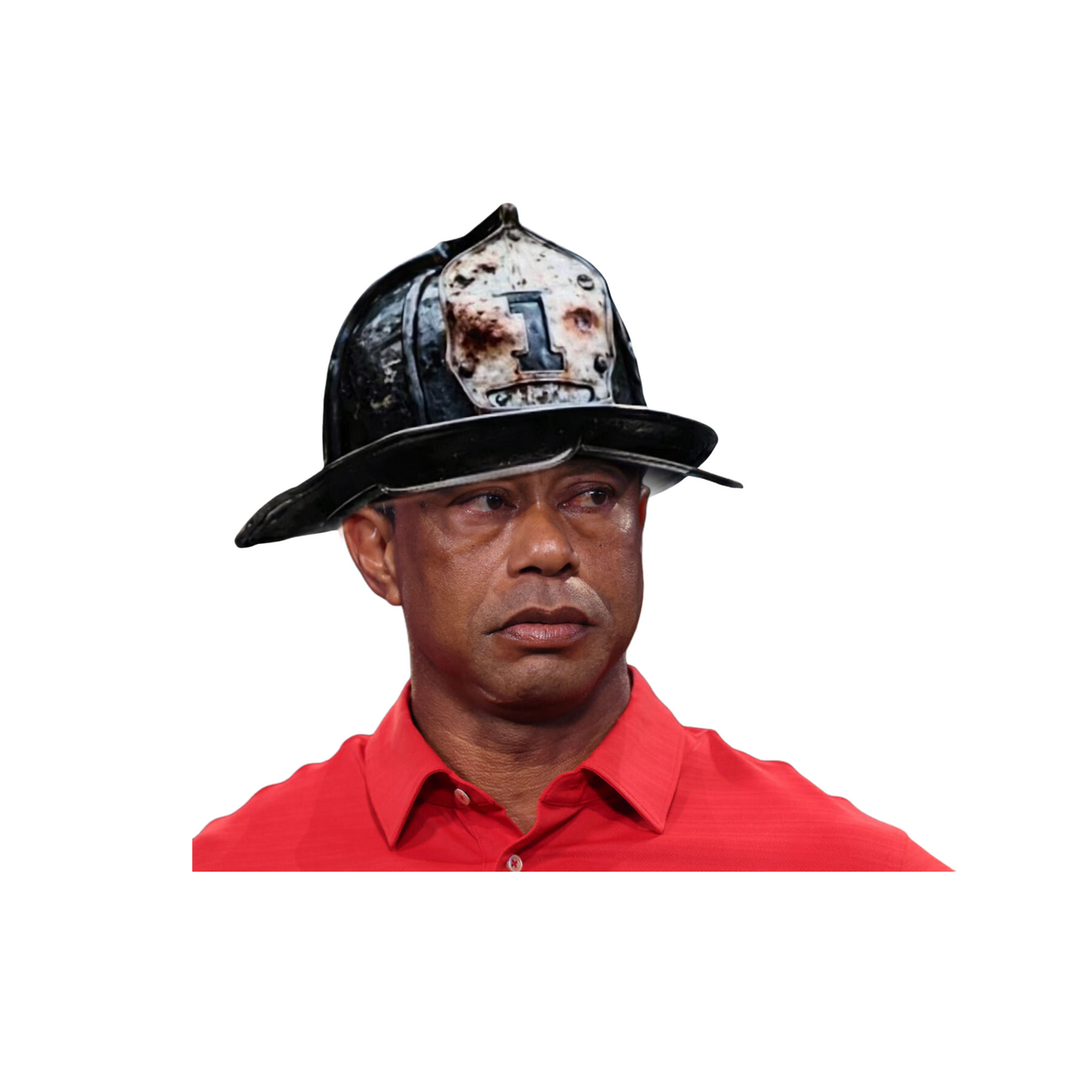 Woods